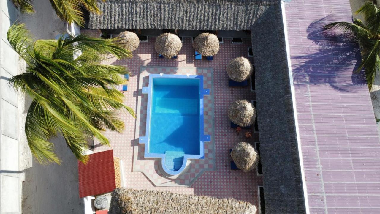 Amani Hotel Paje Kültér fotó